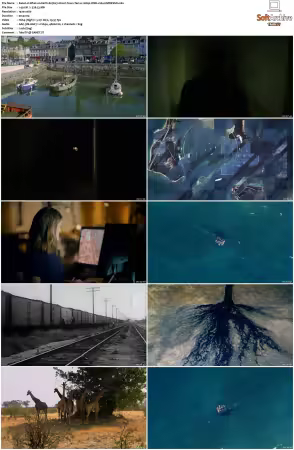 What on Earth S01-S09 1080p WEB x264-SCENE