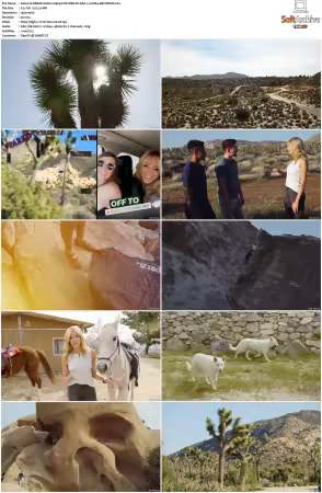 PARKD S01 S05 1080p FOX WEB-DL AAC 2.0 H264-ARCHIVED