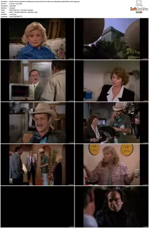 Simon and Simon S01-S08 1080p Blu-ray 10Bit DDP2.0 HEVC-d3g
