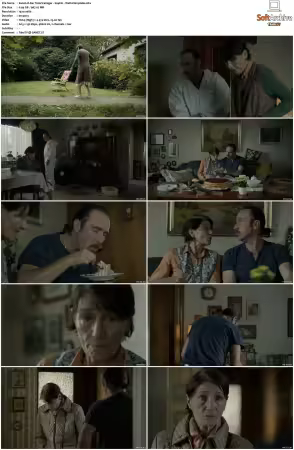 Der Tatortreiniger S01 S07 Complete German 1080p BluRay x264-Scene