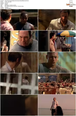 Prison Break S01-S05 German AC3 DL 1080p BDRip x265-FuN