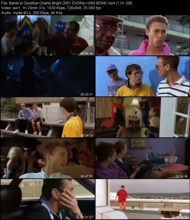 Goodbye Charlie Bright 2001 DVDRip H264 BONE