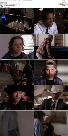 Walker Texas Ranger S01-S09 DVDRip XviD-Mixed