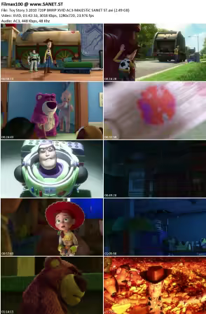 Toy Story 3 2010 720P BRRIP XVID AC3-MAJESTiC