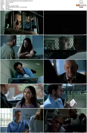 Prison Break S01 S05 German AC3 DL 1080p BDRip x265-FuN