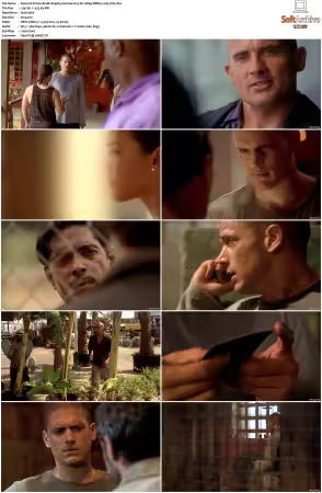 Prison Break S01-S05 German AC3 DL 1080p BDRip x265-FuN