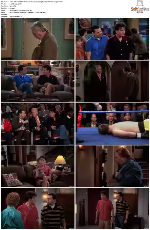 Two And A Half Men S01-S12 German AC3 DL 1080p WebRip x265-Fun