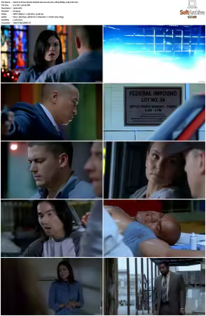 Prison Break S01-S05 German AC3 DL 1080p BDRip x265-FuN