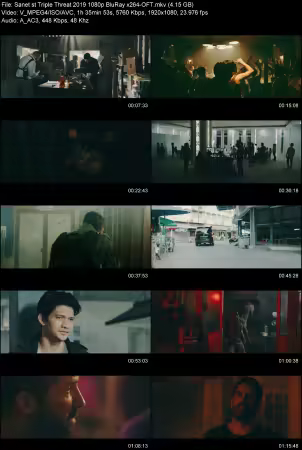 Triple Threat 2019 1080p BluRay x264-OFT