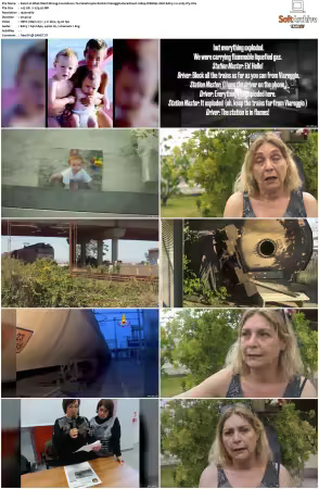 What Went Wrong Countdown To Catastrophe 2019 S01 S02 1080p WEBRip 10bit EAC3 2.0 x265-iVy