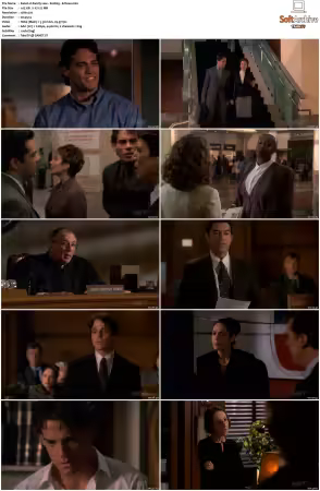 Family Law 1990 S01-S03 720p WEB x264-NGP