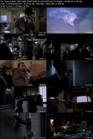 Brazil 1985 1080p DSNP WEB-DL H264 SDR AAC 2.0 English - HONE