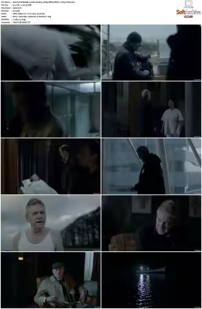 Wallander 2008 S01 S04 1080p BDRip DDP5.1 x265-Vialle