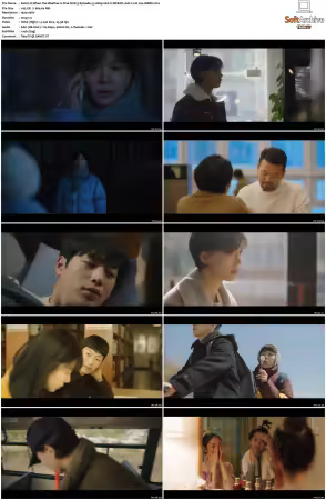When the Weather Is Fine S01 1080p HULU WEB-DL AAC2.0 H264-MARK