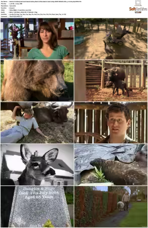 Unlikely Animal Friends S01 S03 1080p DSNP WEB-DL DD+5.1 H264-playWEB