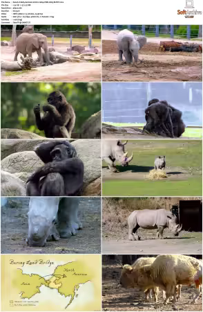 Baby Animals S01-S02 2160p WEB H265-BUSSY