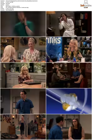 The Big Bang Theory S01-S12 German DL AC3 1080p BluRay x265-FuN