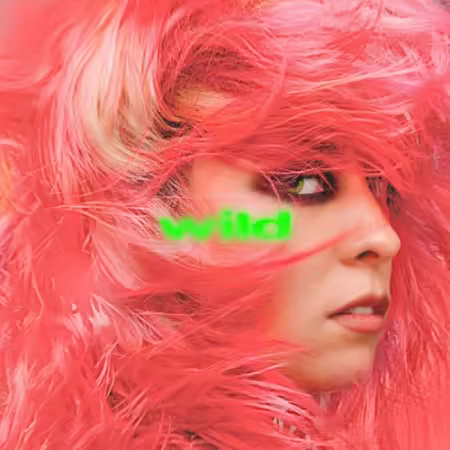 Paula Carolina - wild (2026) (Hi-Res) FLAC/MP3