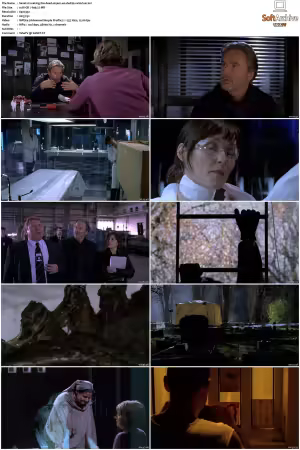 Waking The Dead S01 S09 DVDRip XviD-Mixed