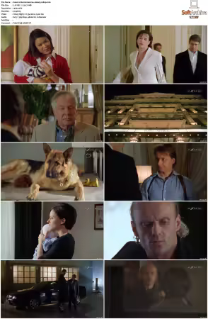 Kommissar Rex S01-S10 German 1080p HDTV x264-OMGtv