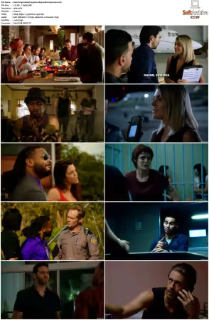 Graceland S01 S03 1080p WEB h264-NiXON