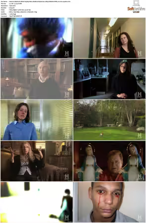 Weird Or What S01 S03 1080p WEB-DL DDP5.1 H264-squalor