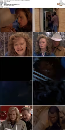 Walker Texas Ranger S01-S09 DVDRip XviD-Mixed