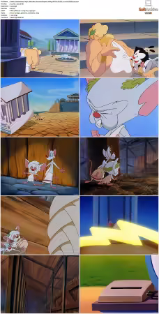 Animaniacs 1993 S01-S05 1080p UPSCALED DD 5.1 x265-EDGE2020