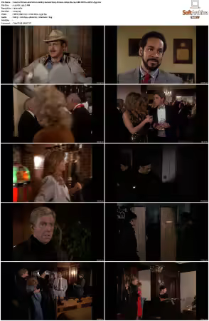 Simon and Simon S01-S08 1080p Blu-ray 10Bit DDP2.0 HEVC-d3g