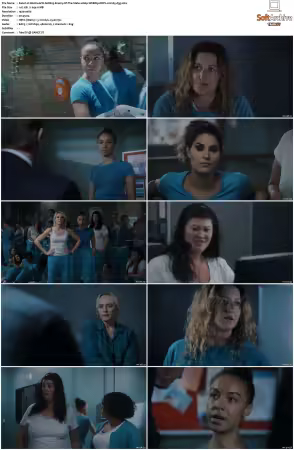 Wentworth S01-S09 1080p WEB h265-d3g