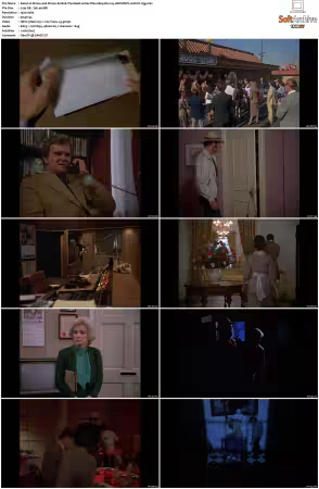 Simon and Simon S01-S08 1080p Blu-ray 10Bit DDP2.0 HEVC-d3g