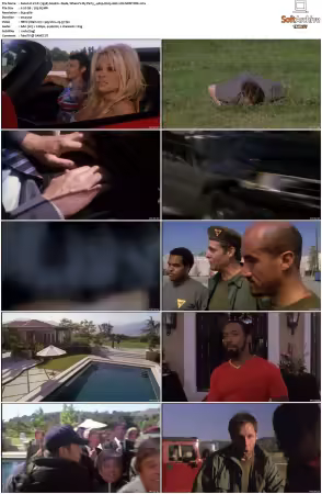 V.I.P. 1998 S01 S04 480p H265 AAC 2CH-MNKYDDL