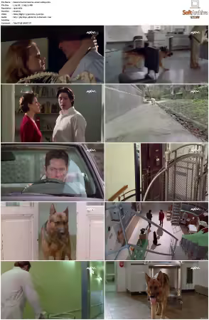 Kommissar Rex S01 S10 German 1080p HDTV x264-OMGtv