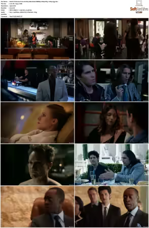 House of Lies S01 S05 WEBRip 1080p DD5.1 H265-d3g