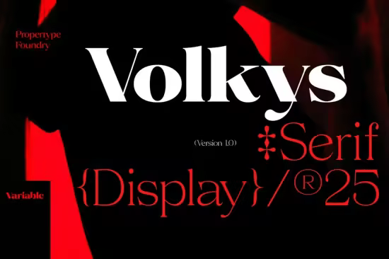 CreativeMarket - Volkys Serif 291966953 - 19 Fonts