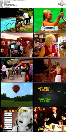 Viva La Bam 2003 S01 S05 DVD AAC H264 PiTBULL