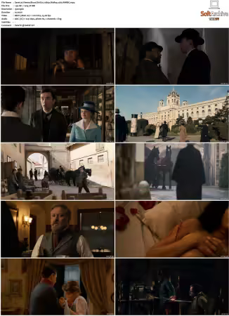 Vienna Blood S01 S04 1080p BluRay x265-MIXED