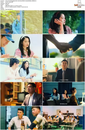 Our Dazzling Days S01 2026 2160p WEB-DL H 265 HDR DDP5.1-HHWEB