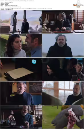 Vivir sin permiso S01 S02 1080p NF WEB-DL DDP2 0 x264-CasStudio