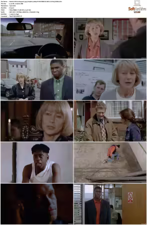 Prime Suspect 1991 S01 S07 1080p PCOK WEB-DL AAC2.0 H264-Vialle