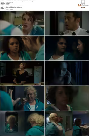 Wentworth S01-S09 1080p WEB h265-d3g