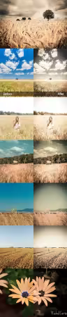 Grain It Up - Mobile &amp; Desktop Lightroom Presets