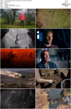 What on Earth S01-S09 1080p WEB x264-SCENE