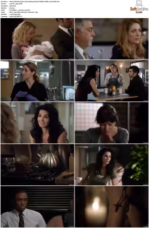 Rizzoli and Isles 2010 S01-S07 1080p NF WEB-DL DDP5.1 AV1-Vialle