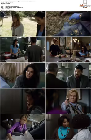 Rizzoli and Isles 2010 S01-S07 1080p NF WEB-DL DDP5.1 AV1-Vialle
