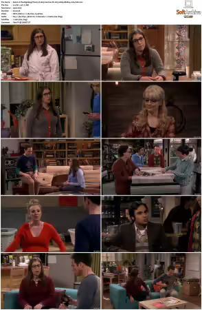 The Big Bang Theory S01-S12 German DL AC3 1080p BluRay x265-FuN