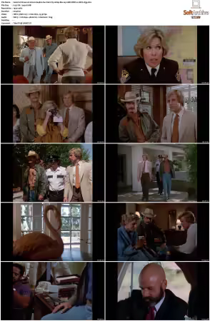 Simon and Simon S01-S08 1080p Blu-ray 10Bit DDP2.0 HEVC-d3g