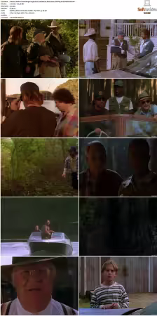 Walker Texas Ranger S01-S09 DVDRip XviD-Mixed