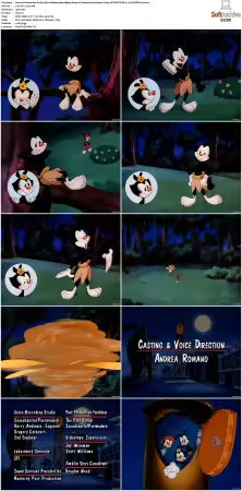 Animaniacs 1993 S01-S05 1080p UPSCALED DD 5.1 x265-EDGE2020