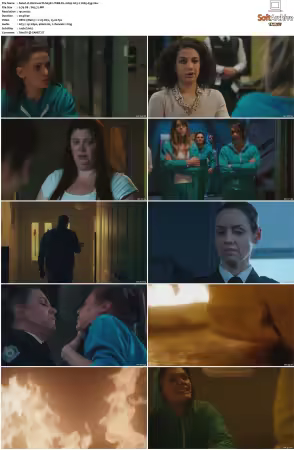 Wentworth S01-S09 1080p WEB h265-d3g